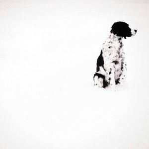 Meet your Posher, Twyla